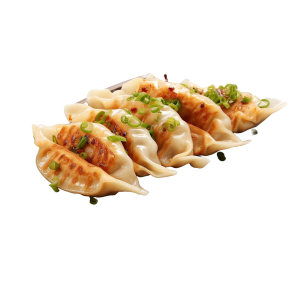 Gyozas légumes x3